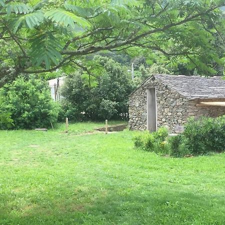 Olivetu Villa Sisco Luaran gambar